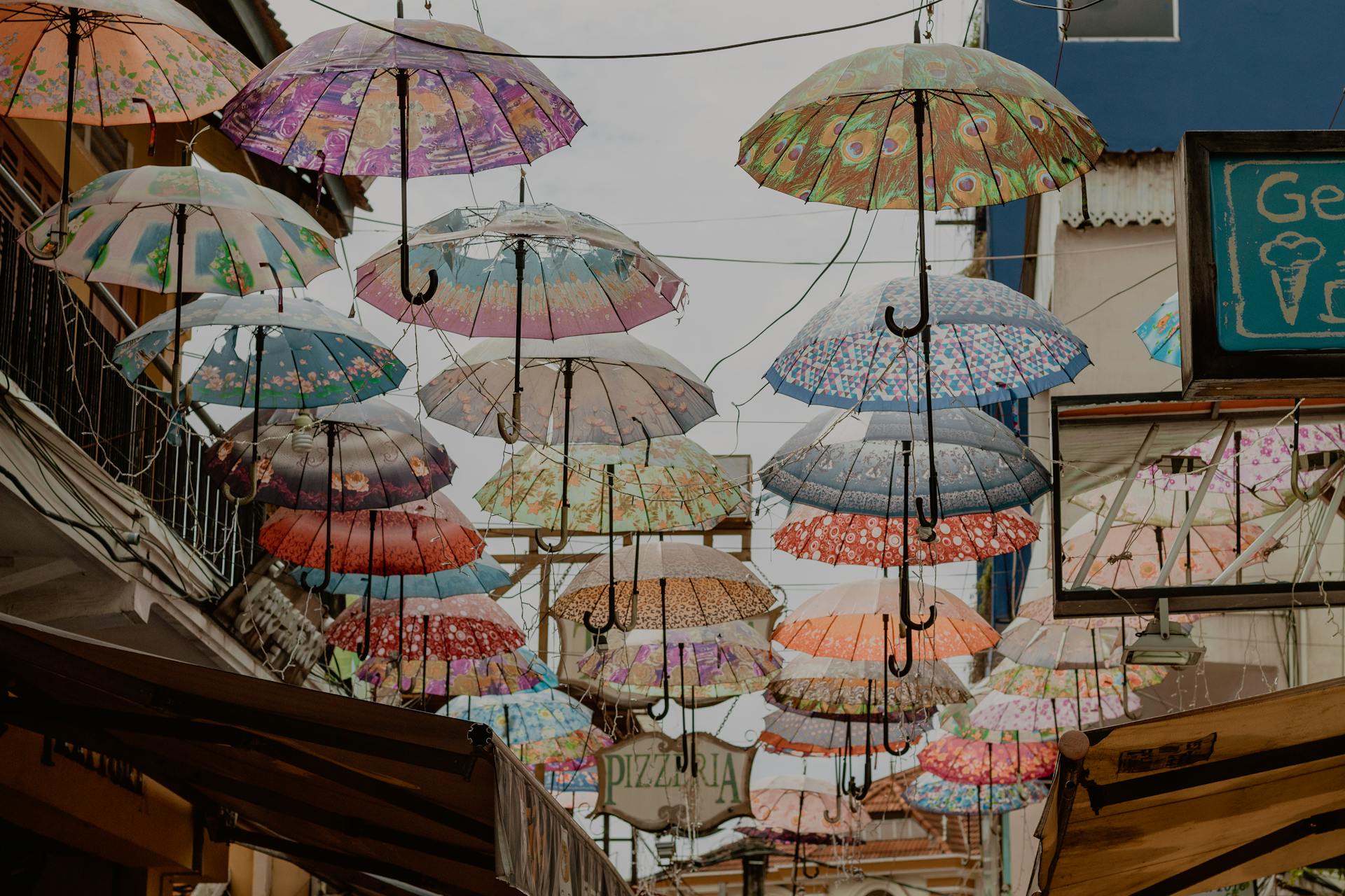 Learn Siem Reap’s culture with expert guidance